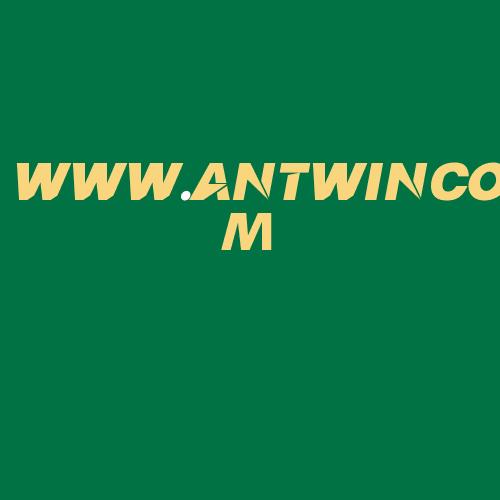 Logo da WWW.ANTWINCOM